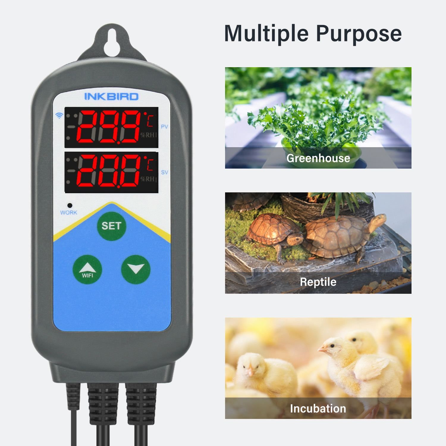 INKBIRD WIFI Thermoregulator I - Wifi Thermostat recension och pris