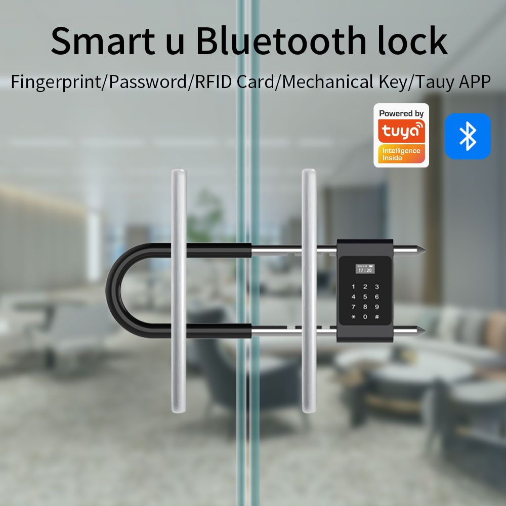 Electronic Biometric Fingerpri - Smart Door Lock Wifi recension och pris